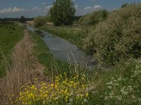 NL, Noord-Brabant, Oss, De Vliet 3, Saxifraga-Jan van der Straaten